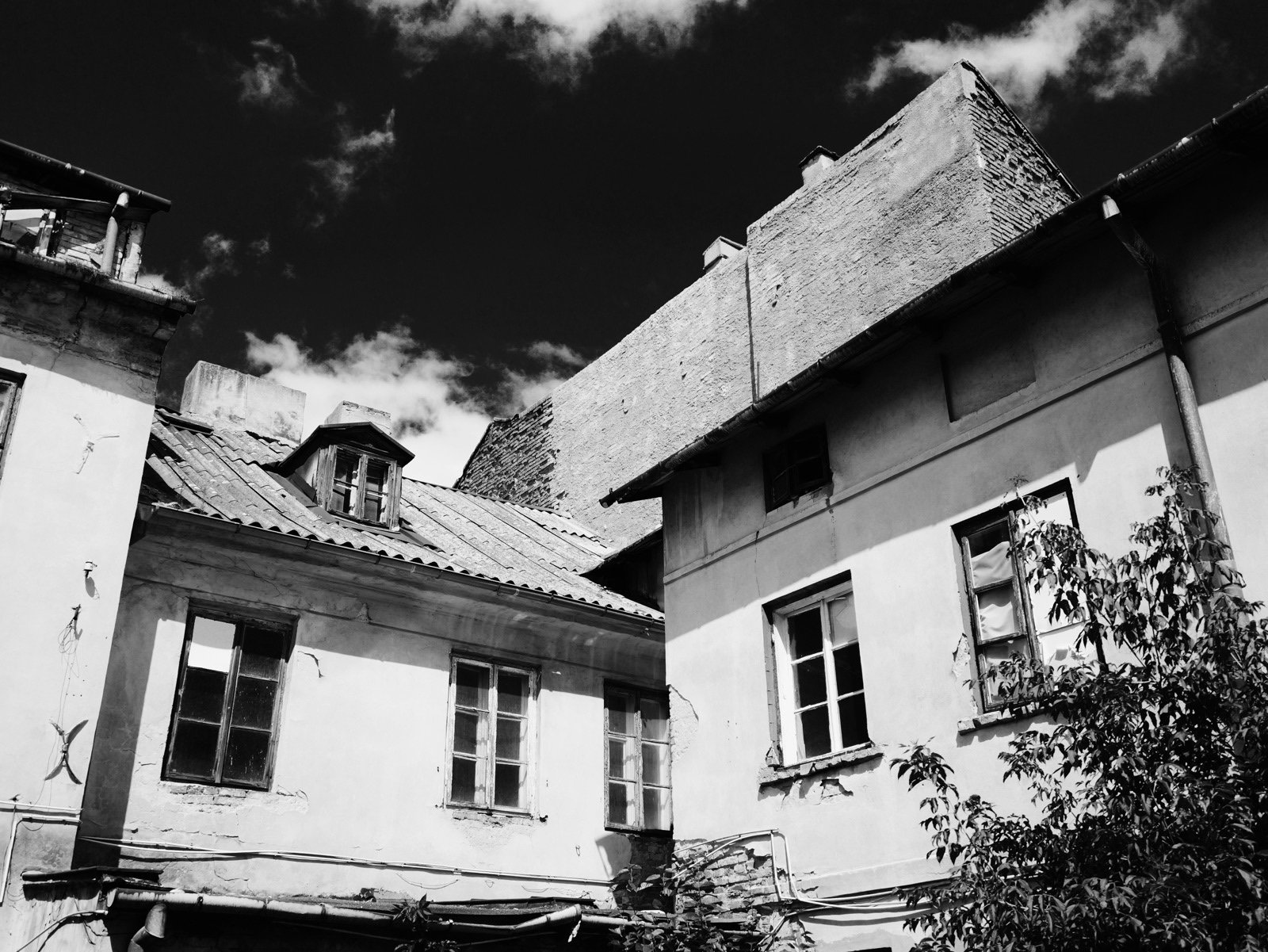 Zdjęcie z galerii
